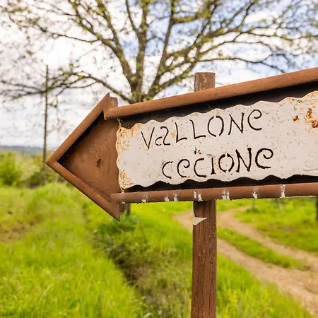 Vallone di Cecione-3